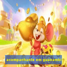 acompanhante em guanambi